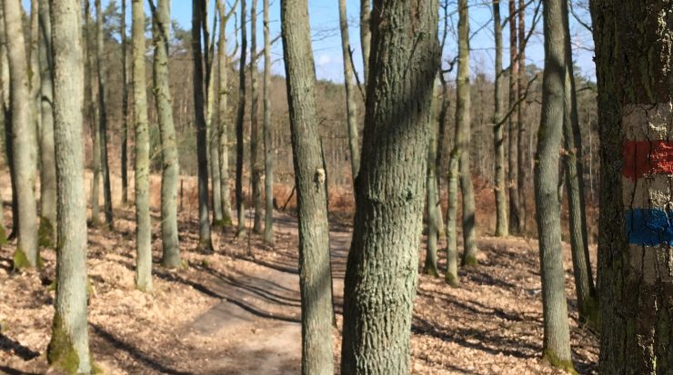 Czy czarny szlak jest trudny?