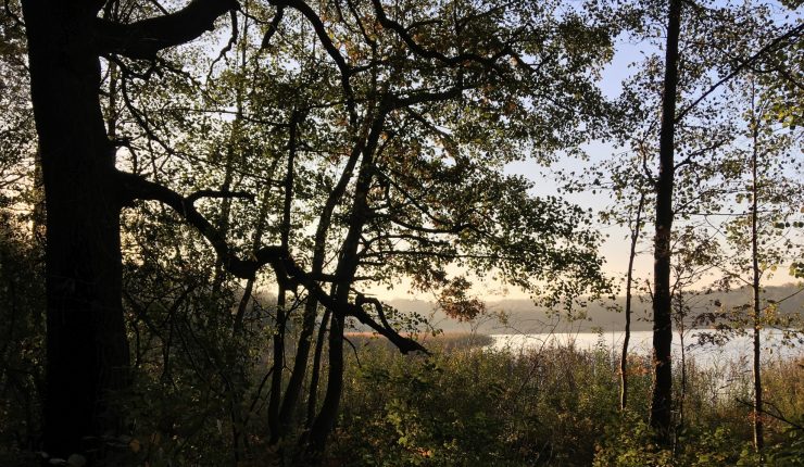 Park Krajobrazowy Promno