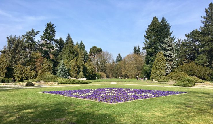 Ogród Botaniczny UAM