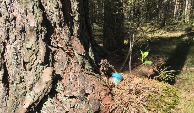 Geokesze – skarby na miarę XXI wieku