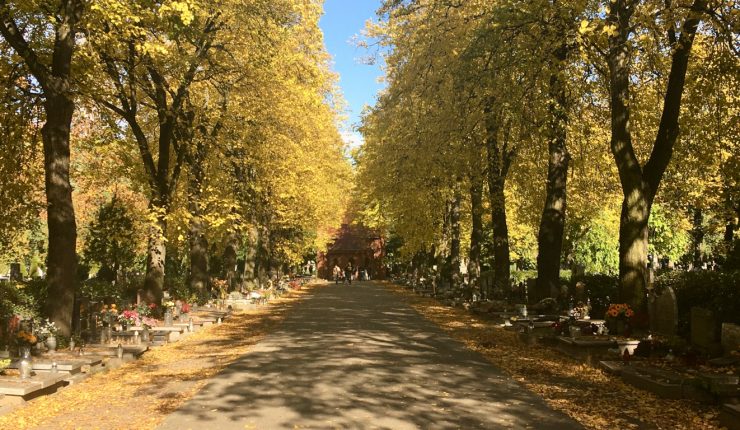 Cmentarz Górczyński