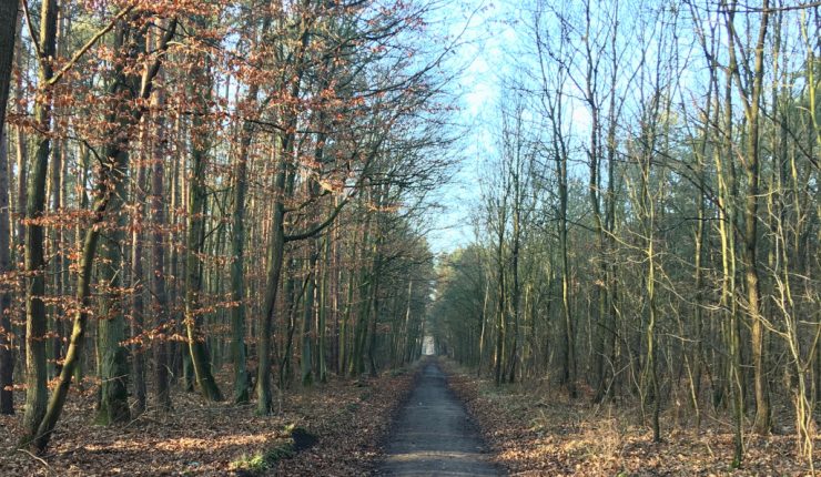 Trekking na weekend – Borówiec