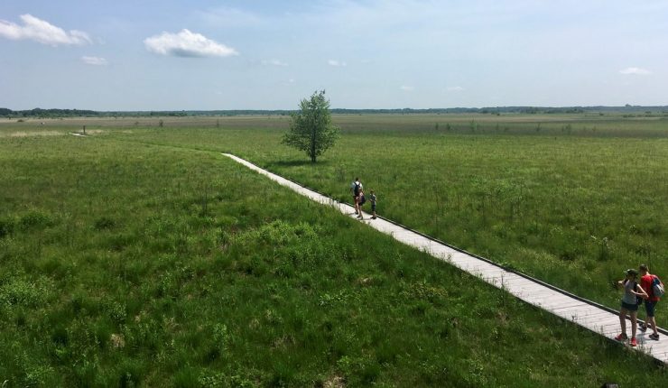 Poleski Park Narodowy – którą ścieżkę wybrać?