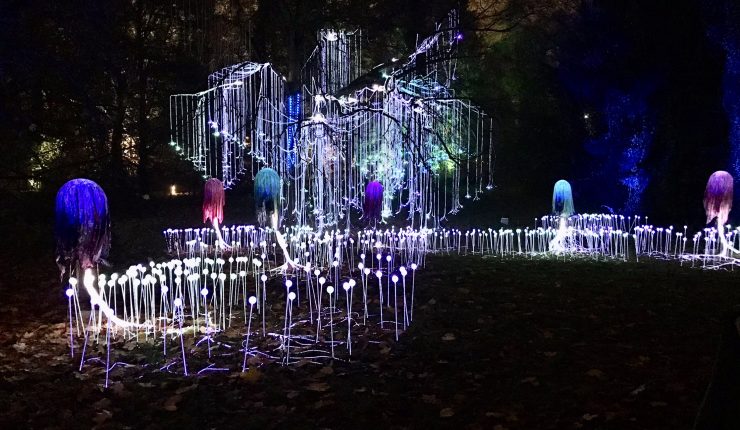 Lumina Park Poznań – moja subiektywna opinia czy warto