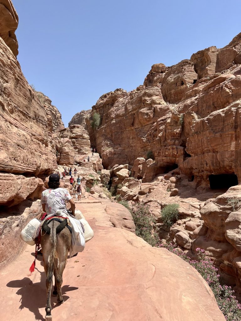 Droga do Monastyru Petra